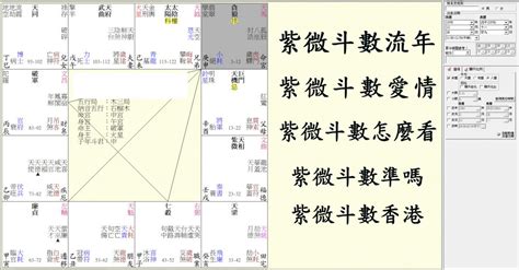 紫微斗數 香港